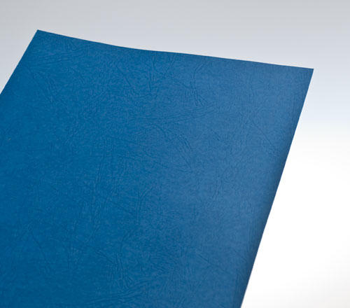 backcover_blue_leather_4.jpg